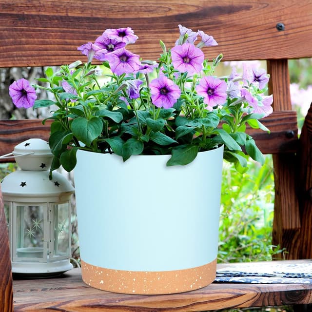 Detalle 2 de QCQHDU 16.5cm Plant Pot (2 Pack) with Drainage Holes & Saucer – LightBlue