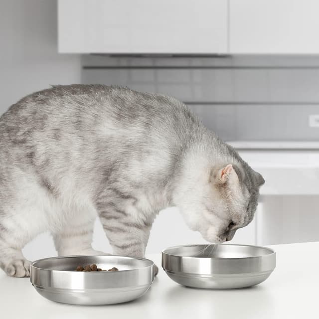 Detalle de Stainless steel Cat Bowl (wide, shallow) – food and water bowl, 15cm whisker-friendly