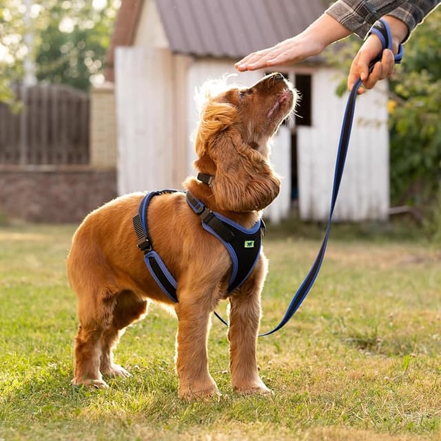 Imagen de Ferplast ERGOCOMFORT correa perros 120 cm azul en OfertitasTOP