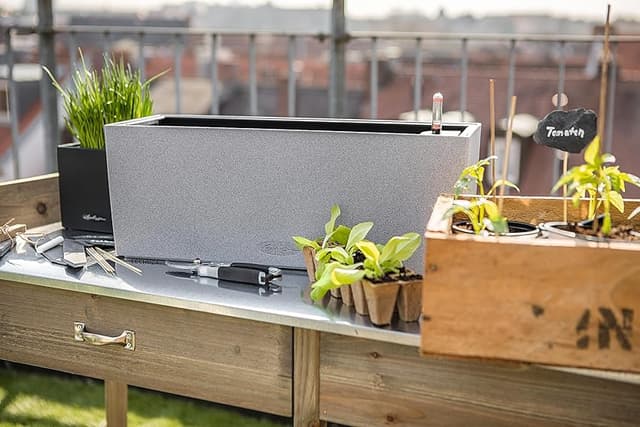 Thumbnail 6 de LECHUZA Balconera Stone 50 – Maceta de Resina Grey