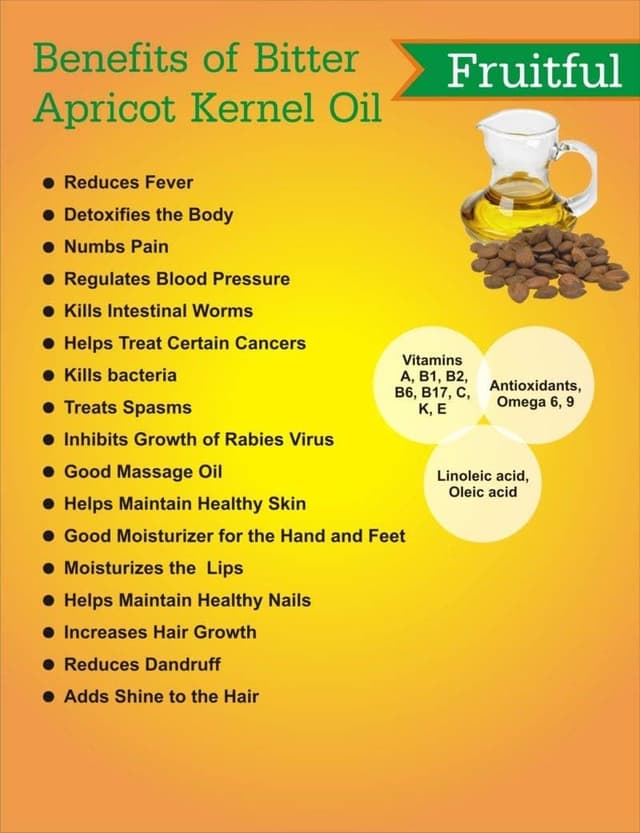 Thumbnail 6 de Oïléna Huile de Noyau d'Abricot, 500 ml