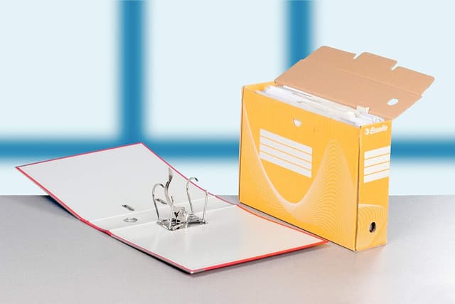 Detalle de Esselte Boîte à Archive Standard 80 mm