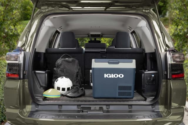 Detalle 2 de Igloo ICF18 Kühl- und Gefrierbox 19 L