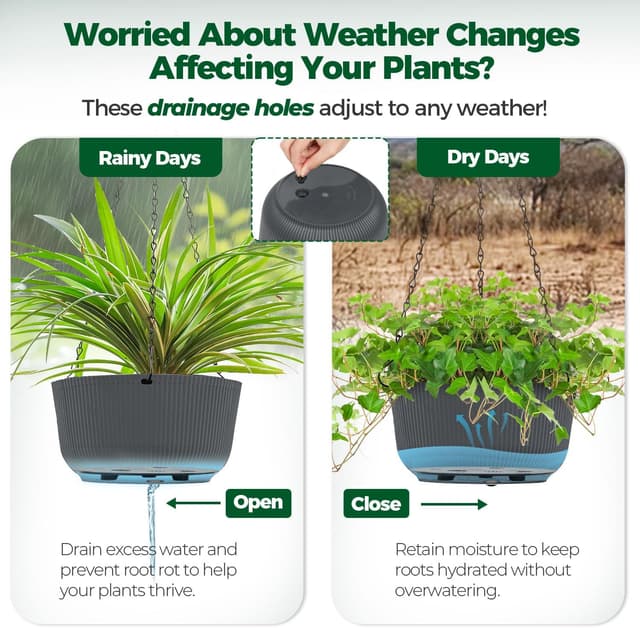 Thumbnail 4 de T4u Maceta Colgante 30 cm para interior