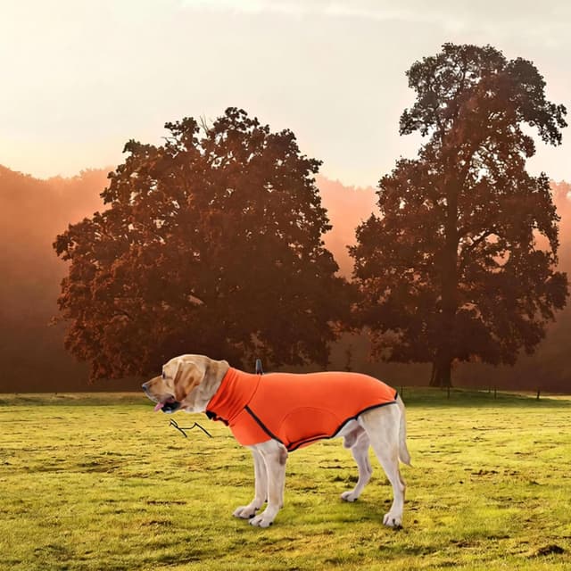Thumbnail 6 de Leberna Dog Jumper Fleece Vest Sweater (Warm & Lightweight) – Orange, M