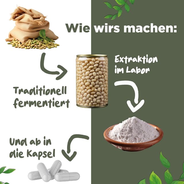 Detalle 2 de BLATTWERK Nattokinase 2000 FU – 365 Kapseln mit 100 mg (Jahresvorrat, vegan)