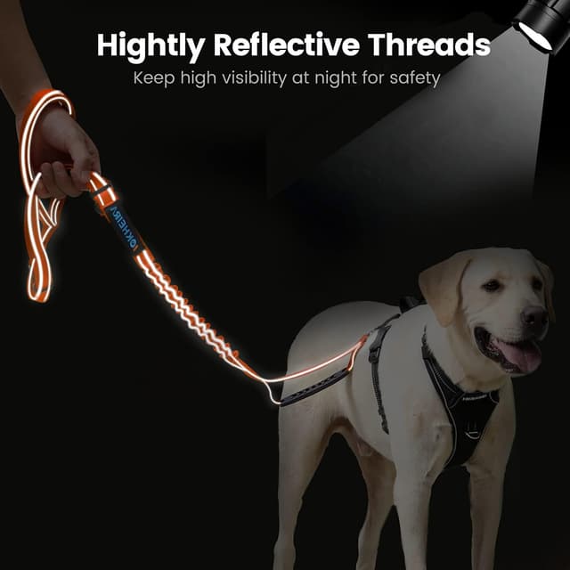 Detalle de IOKHEIRA Bungee Dog Leash with Car Seat Belt Buckle and Reflective Thread