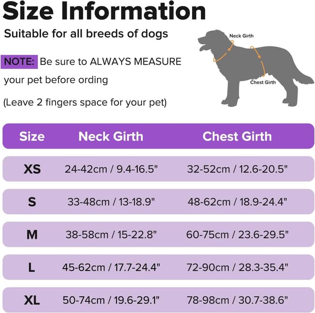 Thumbnail 6 de Purple XS LED Dog Harness