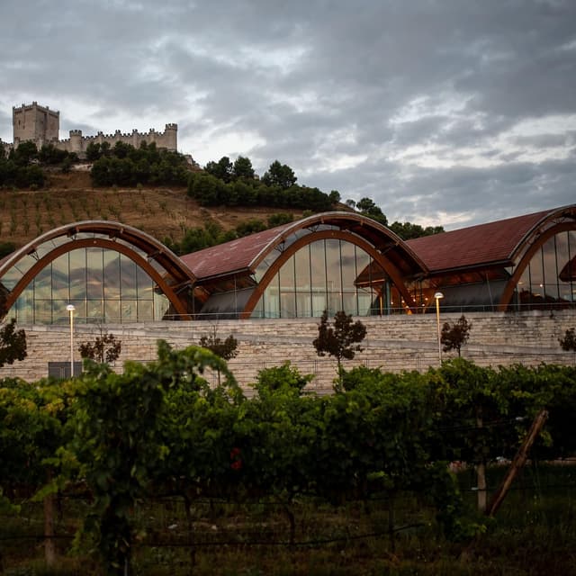 Thumbnail 7 de Protos Roble Tempranillo - Estuche Vino Tinto 🍷 (2 botellas)