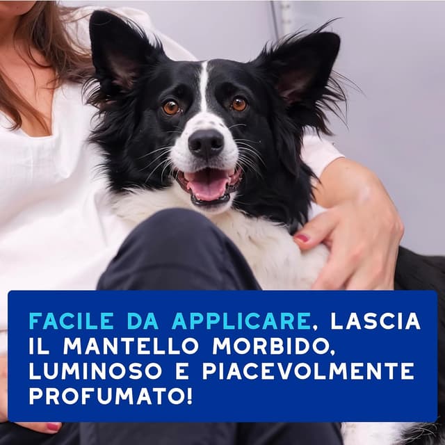 Thumbnail 6 de DOUXO Skin & Coat SPA mousse detergente 150 ml