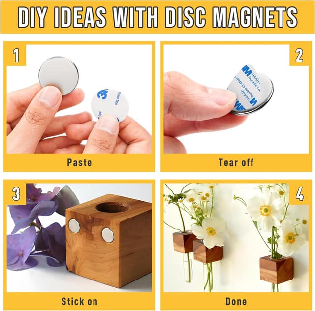 Thumbnail 3 de FINDMAG Strong Disc Magnets 0.98" x 0.08" 12 Pack