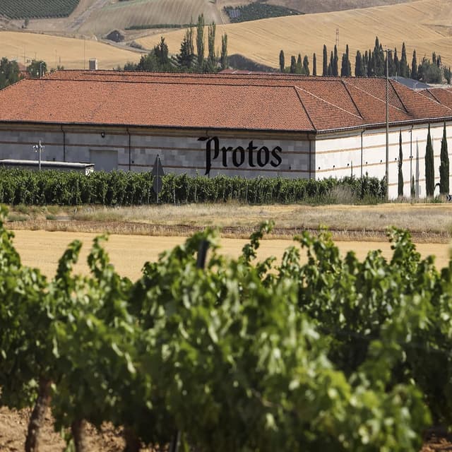 Thumbnail 7 de Protos Verdejo Cuvée 🍷 Vino Blanco Ecológico Rueda 750ml