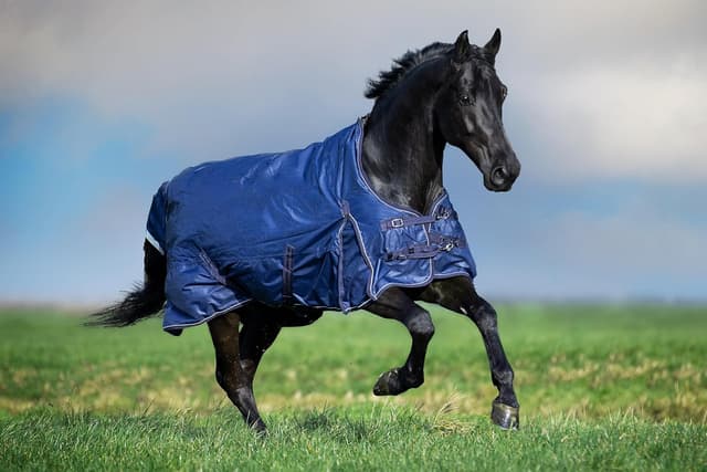 Detalle de Imperial Riding Outdoordecke IRH Super-Dry 200gr, Navy, 135