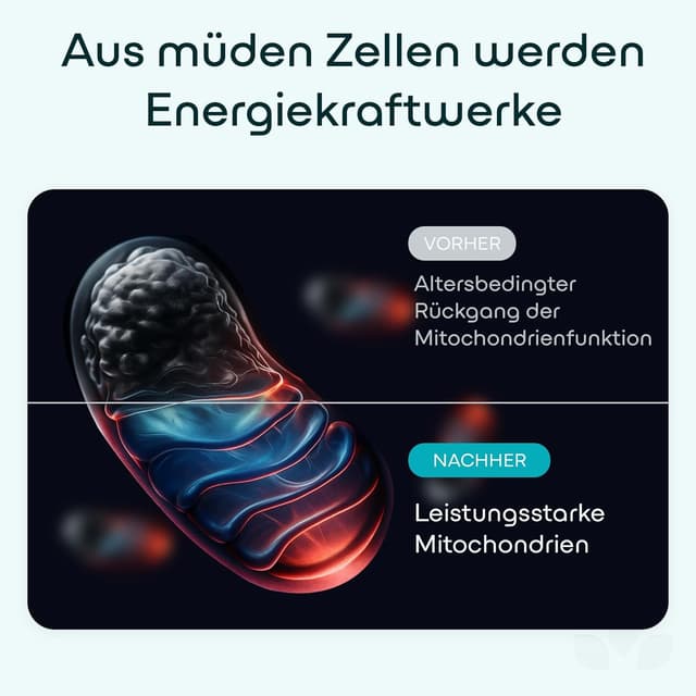 Thumbnail 4 de Nuri Green Lab NAD+ Komplex 1200 mg