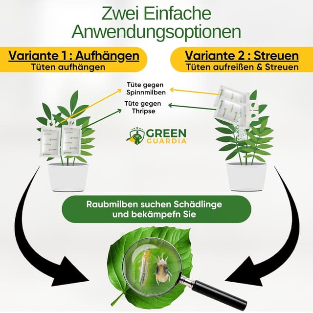 Thumbnail 2 de GREEN GUARDIA Power Raubmilben Mix 6 Tüten