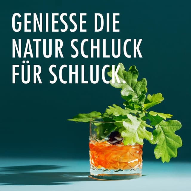 Thumbnail 6 de DIY Whisky Geschenkset mit 12 Botanicals