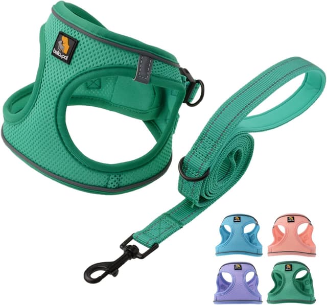 Detalle de BELLA & PAL step-in dog harness and leash set for puppies (XS) – breathable air mesh with reflective strips, green