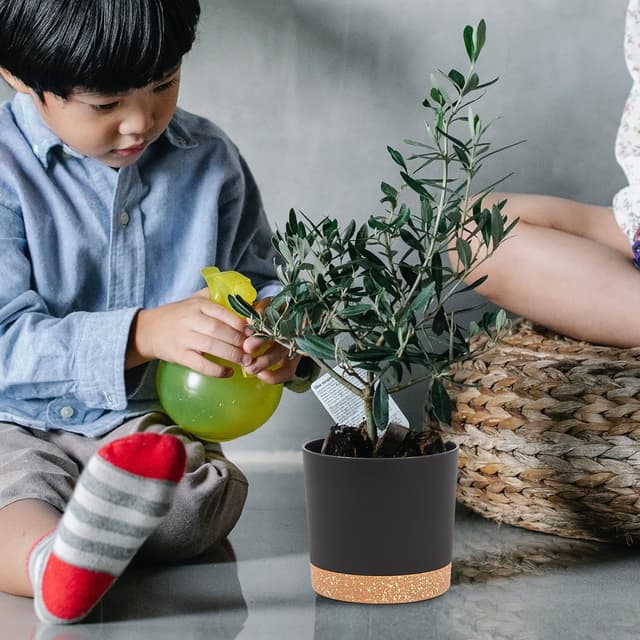 Detalle 2 de QCQHDU 12.7cm Plant Pots, 2 Pack