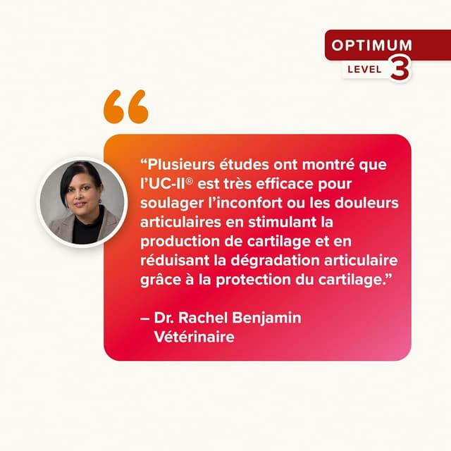 Detalle 2 de Beaphar Flexifit – Bouchées Articulations pour chiens (niveau 3, 175 g)