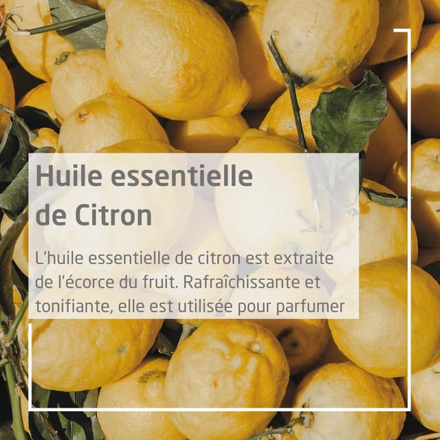 Thumbnail 2 de WELEDA Déodorant Citrus spray 100 ml