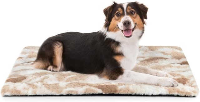 Detalle de Petace Wärmedecke Katze 75×50 cm Wärme