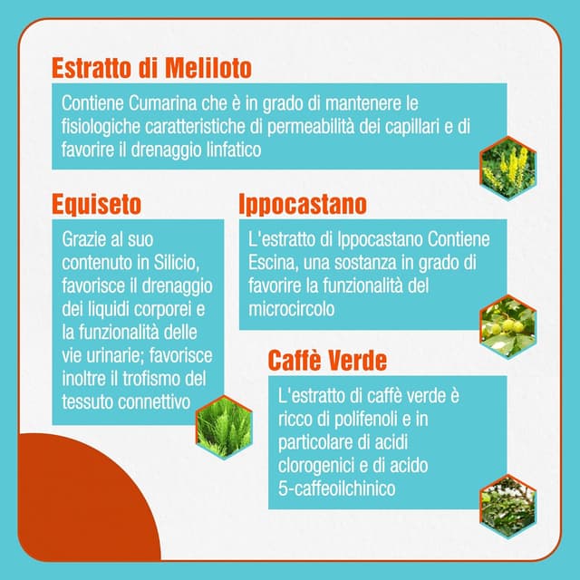 Detalle de Fortilase Cell – Integratore alimentare con bromelina, caffè verde, melitolo, ippocastano ed equiseto (30 compresse)