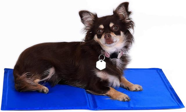 Detalle de lionto Kühlmatte für Hunde & Katzen (90x50 cm) – selbstkühlende Haustiermatte ohne Strom, blau