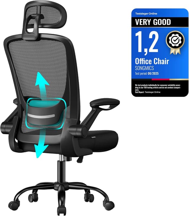 Detalle de SONGMICS Office Mesh Chair (OBN047B02) with Lumbar & Head Support