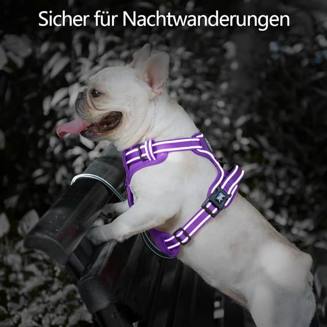 Detalle de PoyPet reflektierendes Hundegeschirr ohne Zug (S, violett) mit weicher Polsterung und Steuergriff