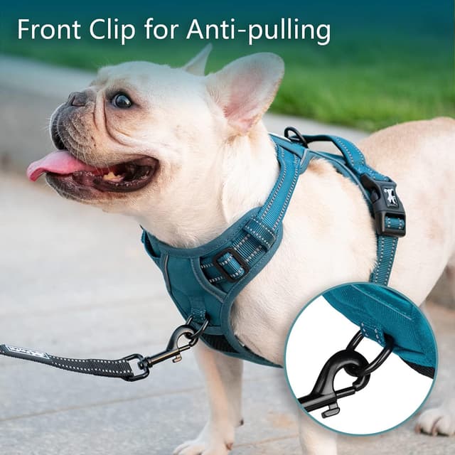 Detalle de PoyPet No Pull Dog Harness with Reflective Vest + Easy Control Handle (Tumalo Teal Trim, M)