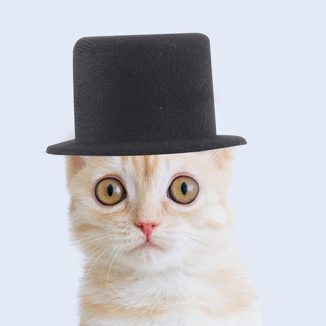 Detalle de iplusmile Mini Top Hats for Snowmen 9 cm