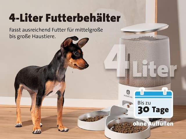 Detalle de Molly&Cody Lucky Futterautomat für Katzen & Hunde mit 4-L-Behälter, Zeitplan und doppeltem Napf