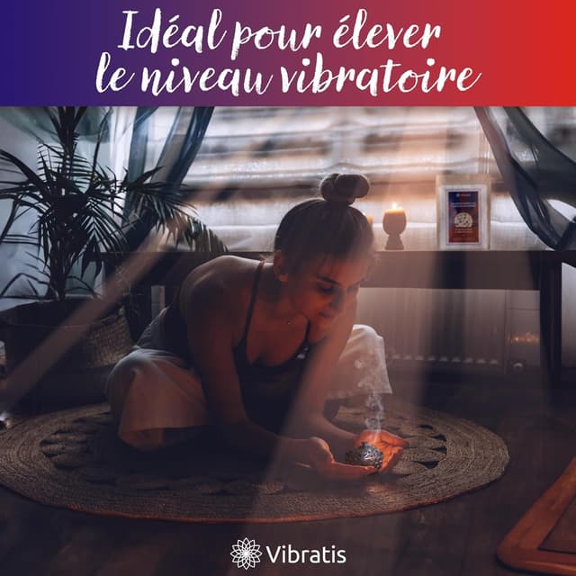 Detalle 2 de Encens tibétain 250 g pour la purification ⚰