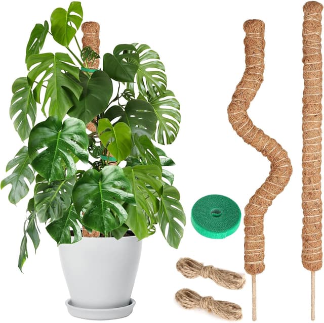 Detalle de Joaercs Moss Pole 60 cm plant support for climbers