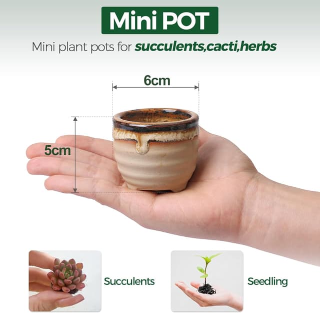 Thumbnail 1 de T4U Small Ceramic Succulent Pots set of 6