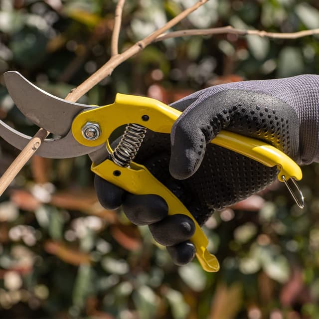 Detalle 2 de COOLJOB Arbeitshandschuhe 7/S, 3 Paar