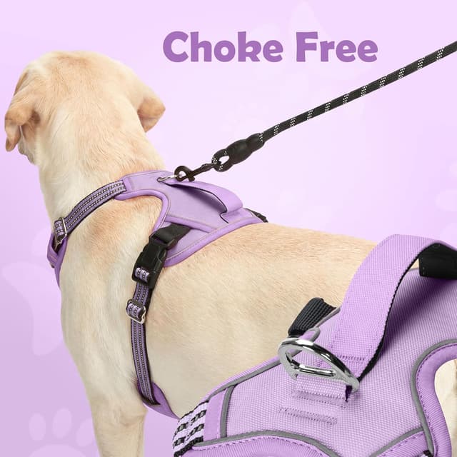 Detalle 2 de Funfox Dog Harness 32 45 cm purple S