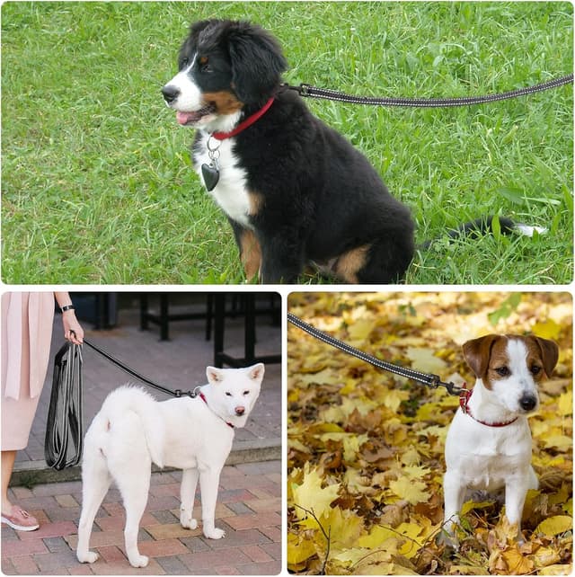 Detalle 2 de COMSLE guinzaglio lungo per addestramento: lunghina in nylon con gancio robusto e impugnatura imbottita (3/5/10/15/20 m)