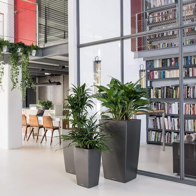 Thumbnail 4 de LECHUZA Cubico Premium 40 Rojo Escarlata 40 cm