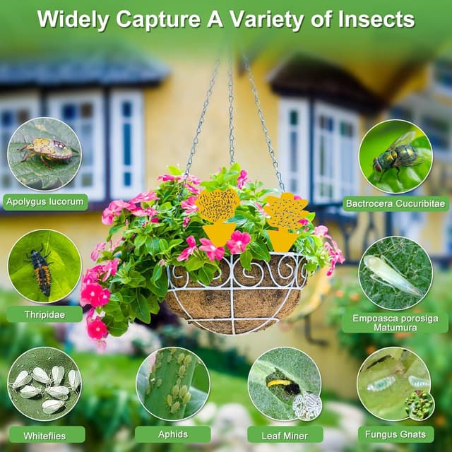 Detalle de 100 Stück Gelbsticker gegen Trauermücken – klebrige Fangtafeln für Zimmerpflanzen