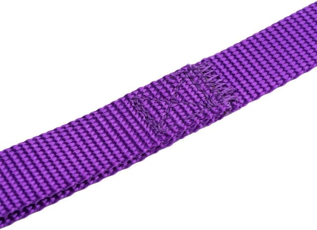 Detalle de YUDOTE Basic Nylon Dog Lead (2.5cm x 120cm) in Vibrant Purple