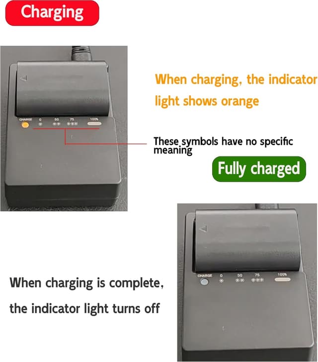 Detalle 2 de LP-E6 charger 8.4V for Canon EOS