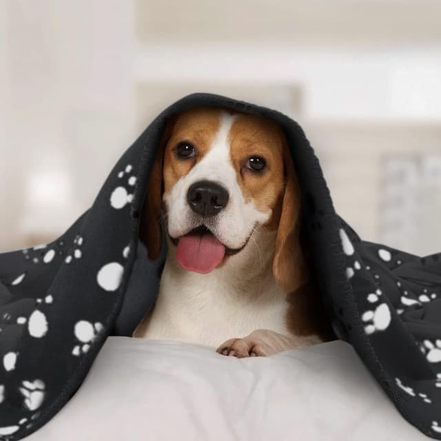 Detalle 2 de Nobleza Morbida coperta in pile per cani e gatti, confezione da 6 pezzi (nero, 75 × 75 cm)