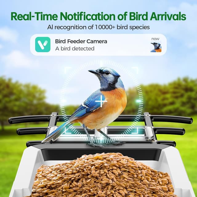 Detalle 2 de HD 2K Smart Bird Feeder Camera