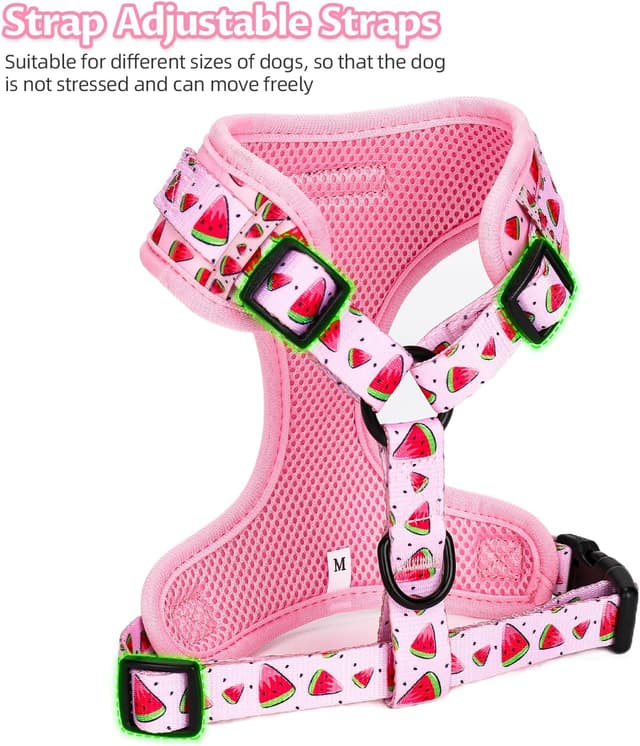 Detalle 2 de COOWONE Welpengeschirr mit Leine Set – weiches Mesh-Hundegeschirr für kleine Hunde ohne Ziehen