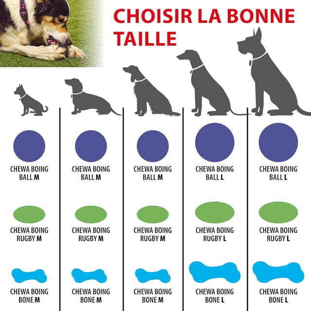 Thumbnail 3 de Ferplast jouet chien durable, non toxique, jaune ⚡