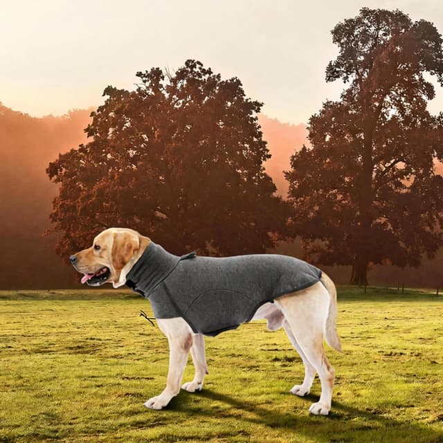 Thumbnail 6 de Leberna Dog Jumper Fleece Vest Sweater (Grey, S) – warm & lightweight pullover for small to medium dogs