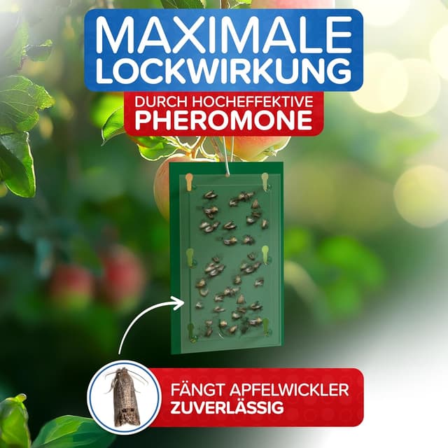 Detalle de Apfelwickler Pheromonfallen (2 Stück) – Pheromonfalle für Apfelbäume zur Befallsermittlung