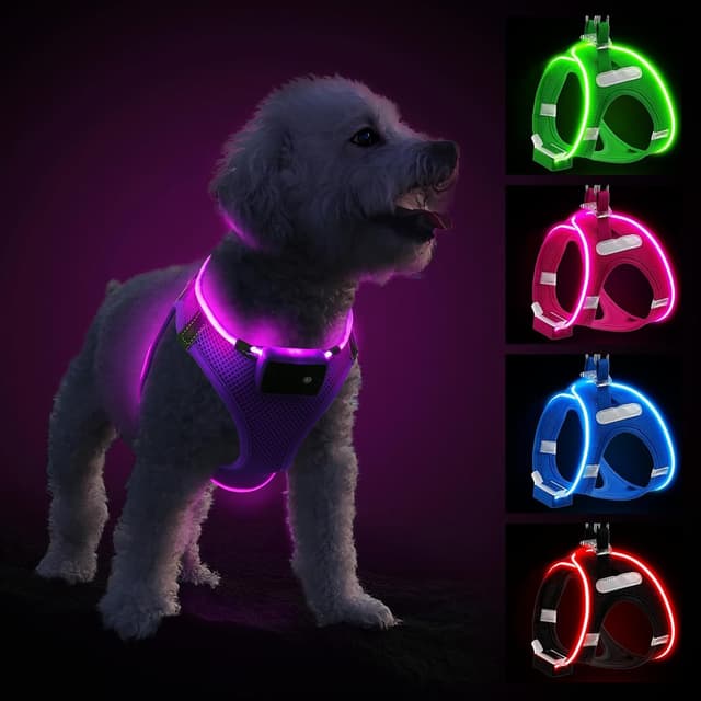 Detalle de PcEoTllar Light Up Dog Harness with Rechargeable LED (Waterproof, Reflective) – Purple