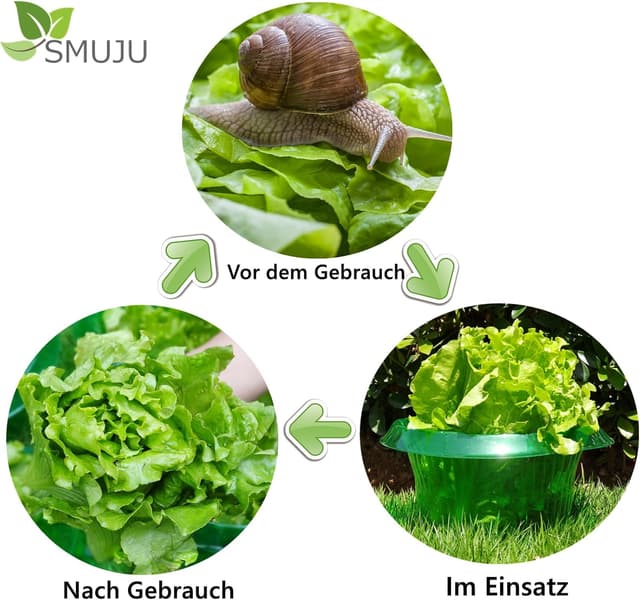 Thumbnail 6 de Schneckenkragen / Schneckenzaun (12 Stück) zum Schutz von Salat- und Kohlpflanzen, Ø 24 cm, grün